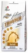 Per il benessere psico-fisico del gatto