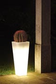 Il vaso che brilla nel buio