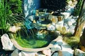 Un’oasi in giardino