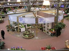 Garden center: la nascita del punto vendita