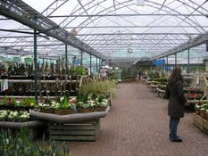 Le “stanze” del giardino