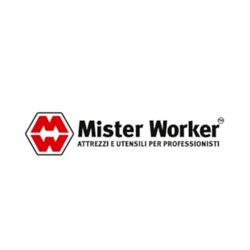 Mister Worker miglior e-commerce B2B 2022
