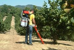 Cifarelli: 40 anni d’innovazione