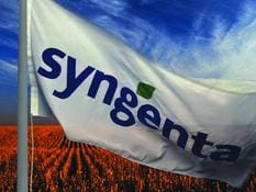 Syngenta Flowers compra Fischer