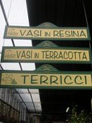 Visita a Flover di Desenzano