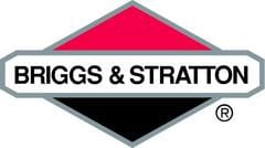 Il centenario di Briggs & Stratton