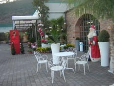Visita ai Vivai Montina di Savona