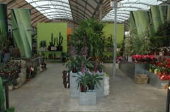 Panico nel garden center