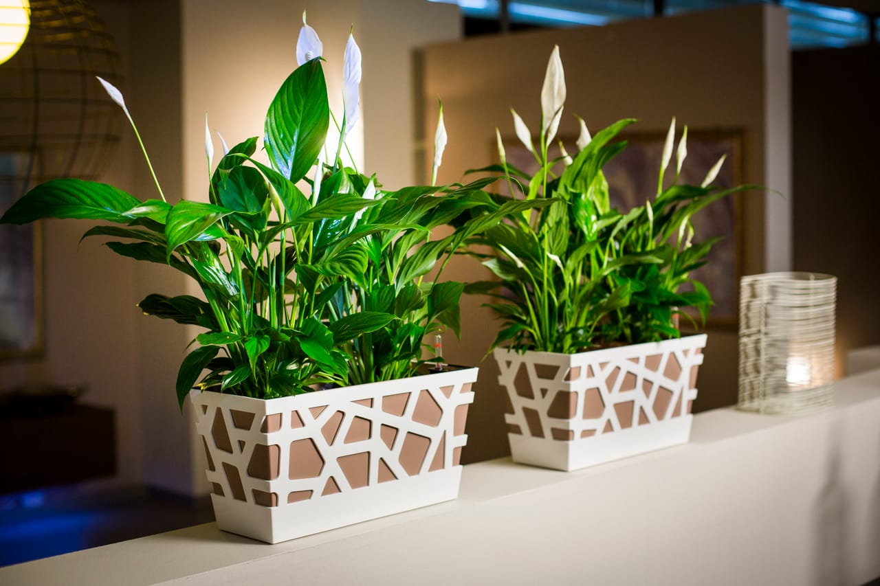 Mosaic Flowerbox 40