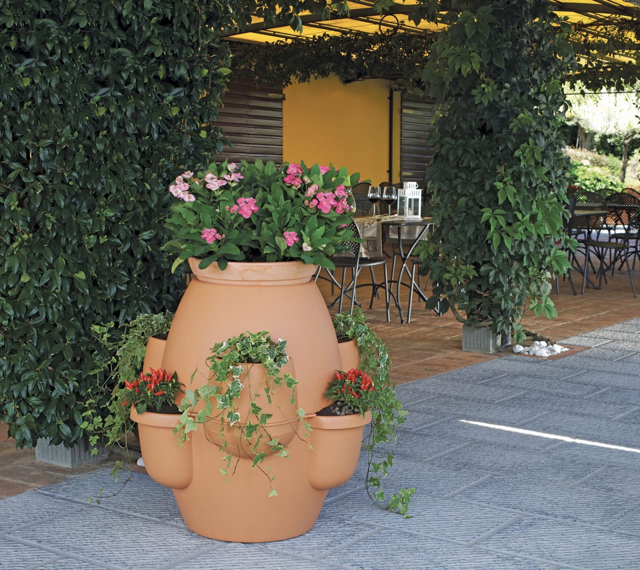 Vaso Oasi