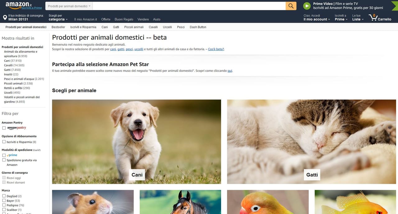 Apre oggi su Amazon.it il negozio Animali domestici