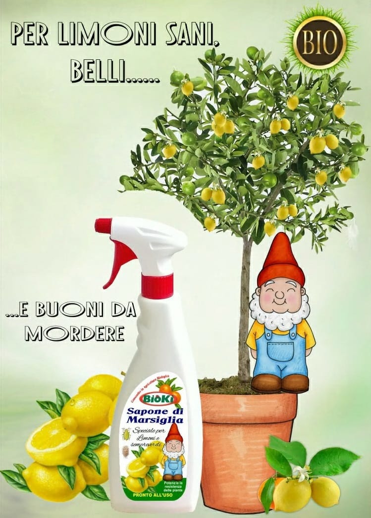 Sapone di Marsiglia spray speciale per limone