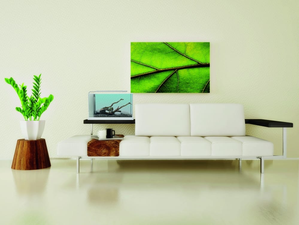 L'acquario d'arredo di Askoll