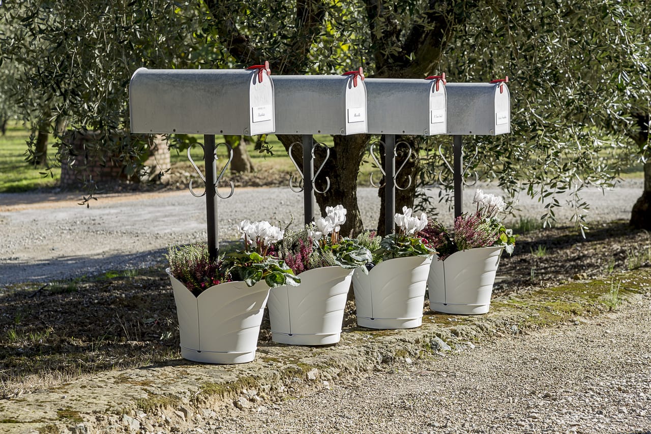 Un Tulipano per vaso