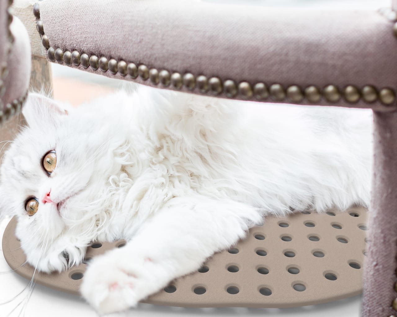 Tappeto relax per animali