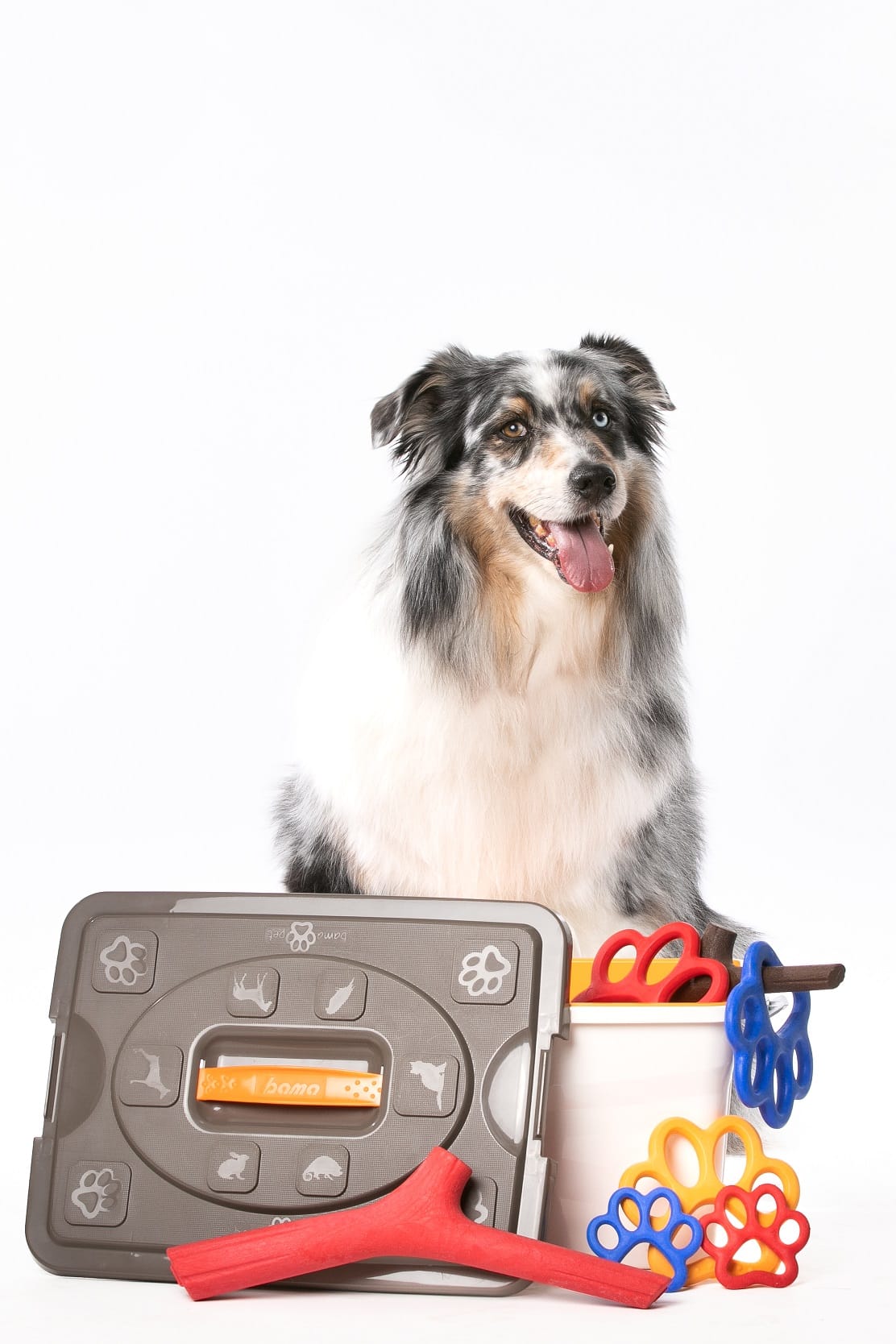Sim Pet, contenitore per oggetti
