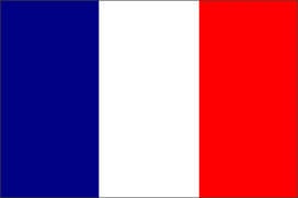 Francia: dati in calo per il fai da te