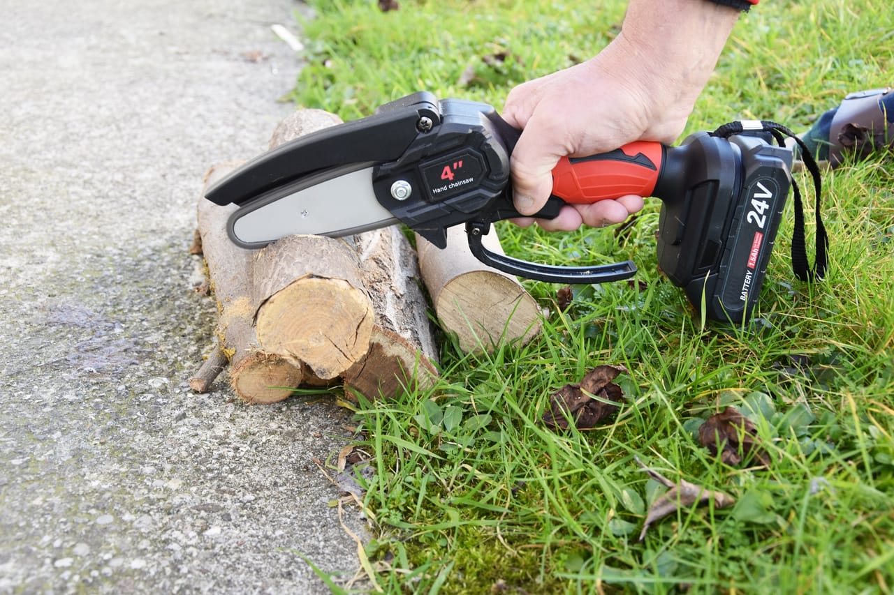 Sega elettrica per giardinaggio