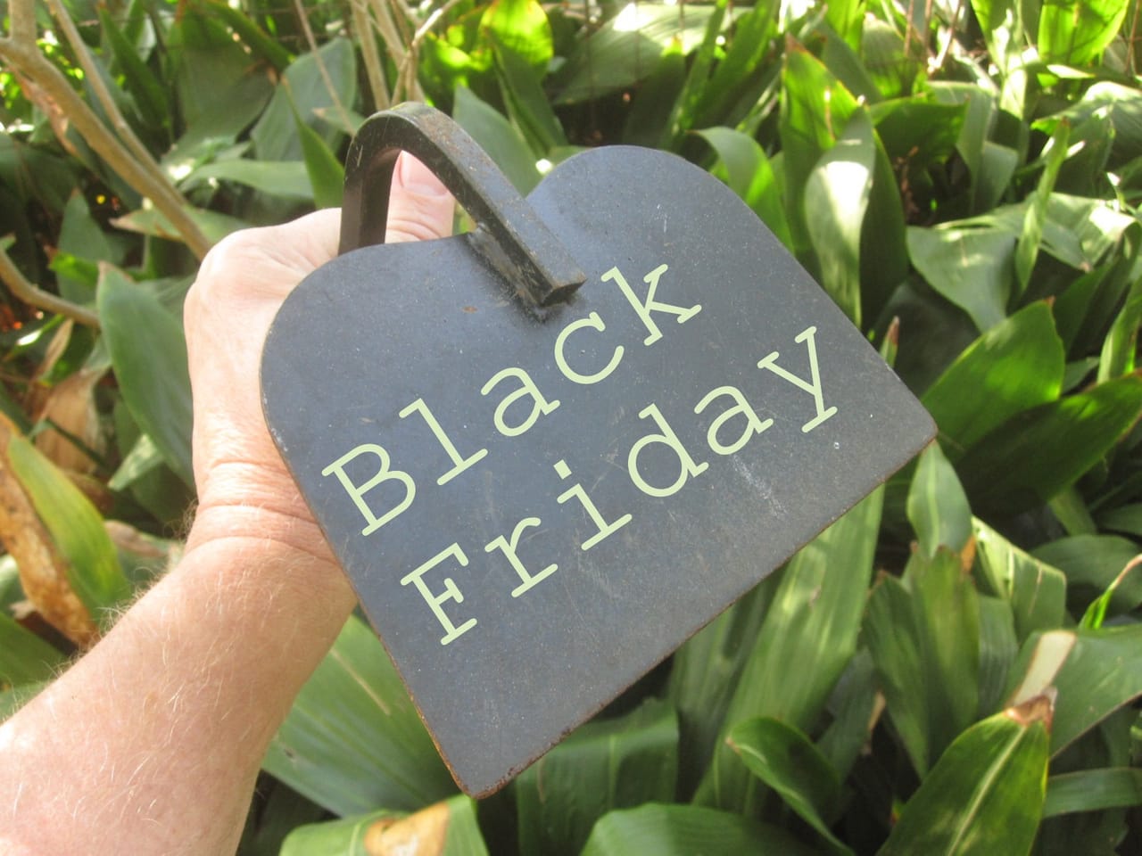 Si avvicina il Black Friday: quanto influisce sulle vendite di prodotti garden?