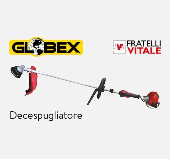 Decespugliatore “GX”