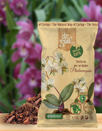 Substrato per orchidee Phalaenopsis