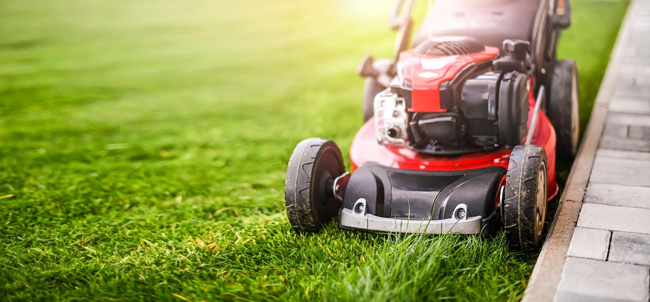Macchine per il gardening: mercato in ripresa
