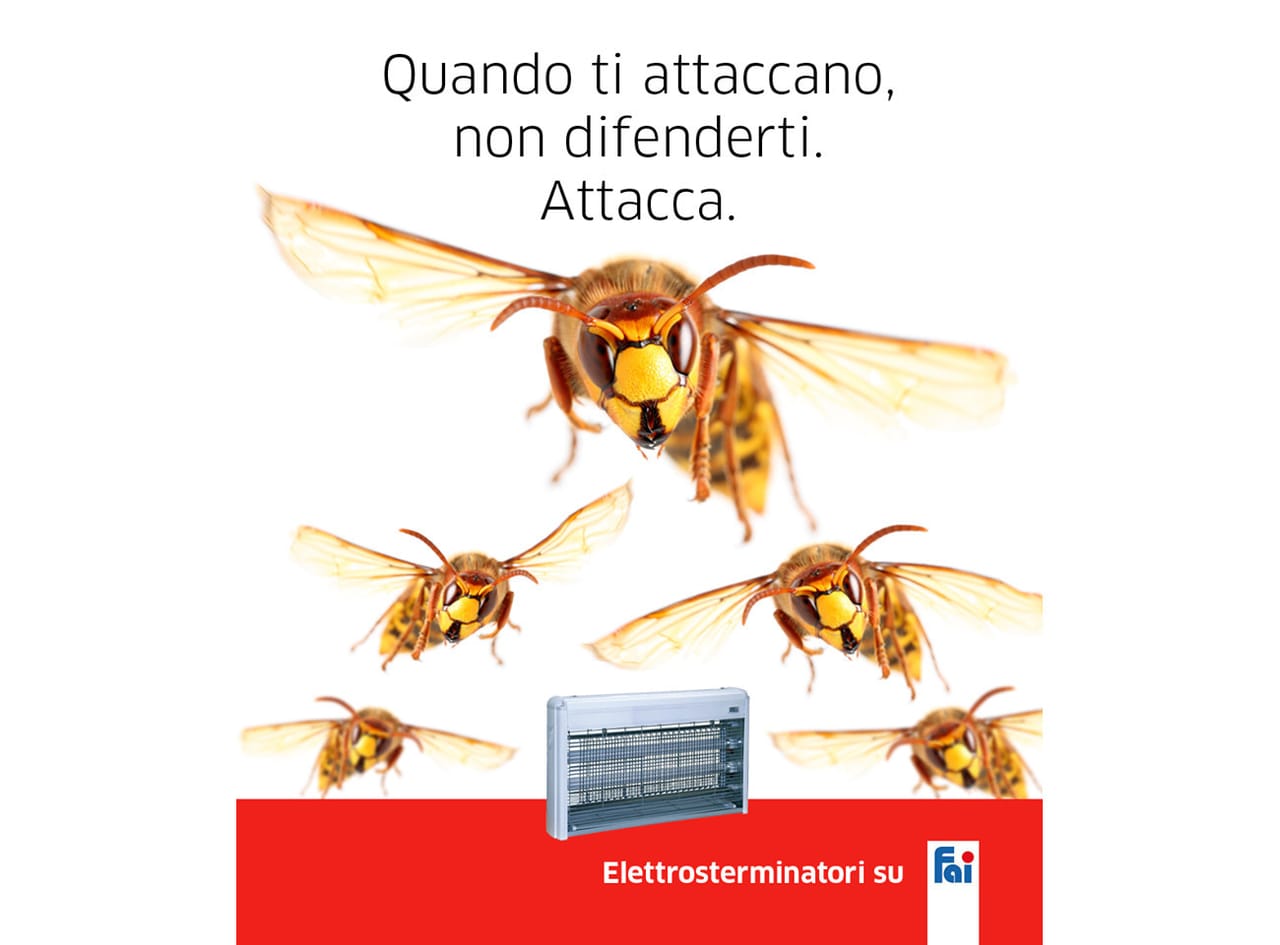 Fai Store, le offerte brico in un'app