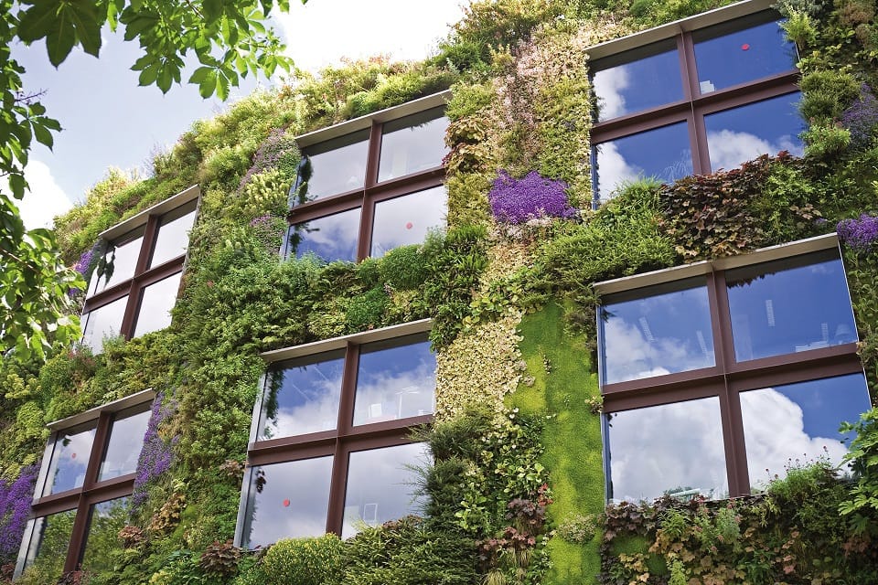 Fiorisce a Padova il primo giardino verticale della città