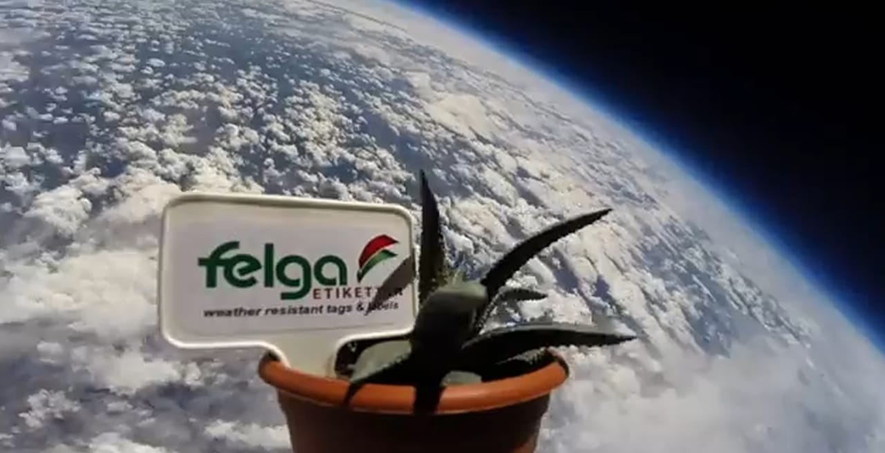 Felga manda una pianta nello spazio