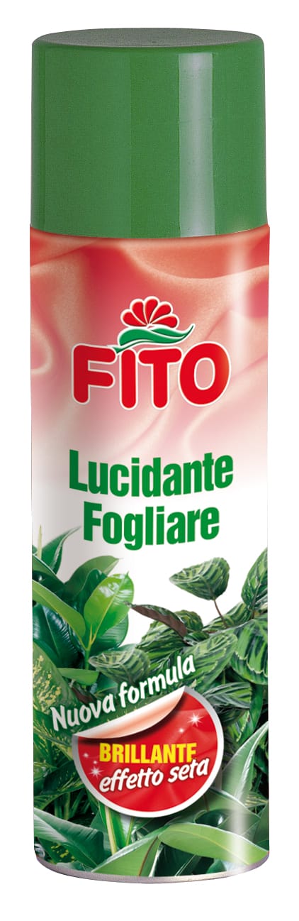Manutenzione piante in inverno