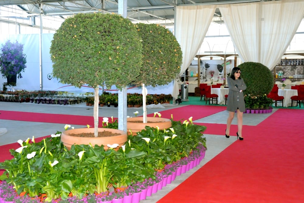Florbusiness: la Puglia verde incontra il mercato