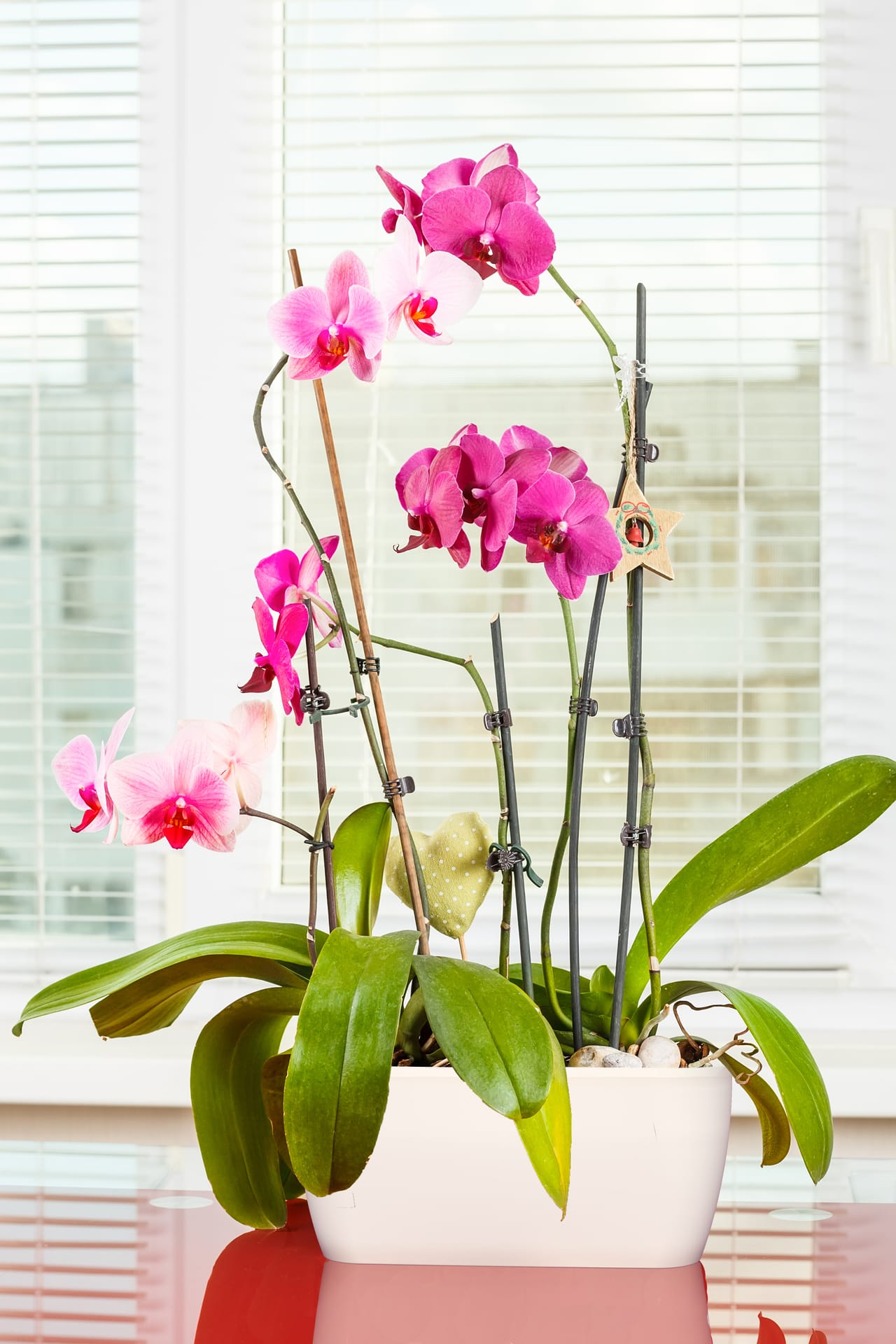 Living Flowerbox One