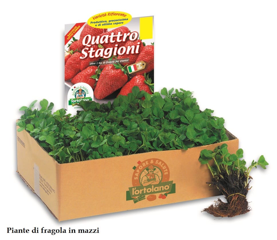 "Sapore & Salute": per il benessere dell'orto!