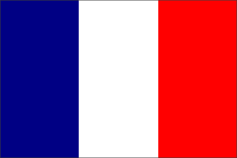 Settore DIY e costruzioni: i dati in Francia