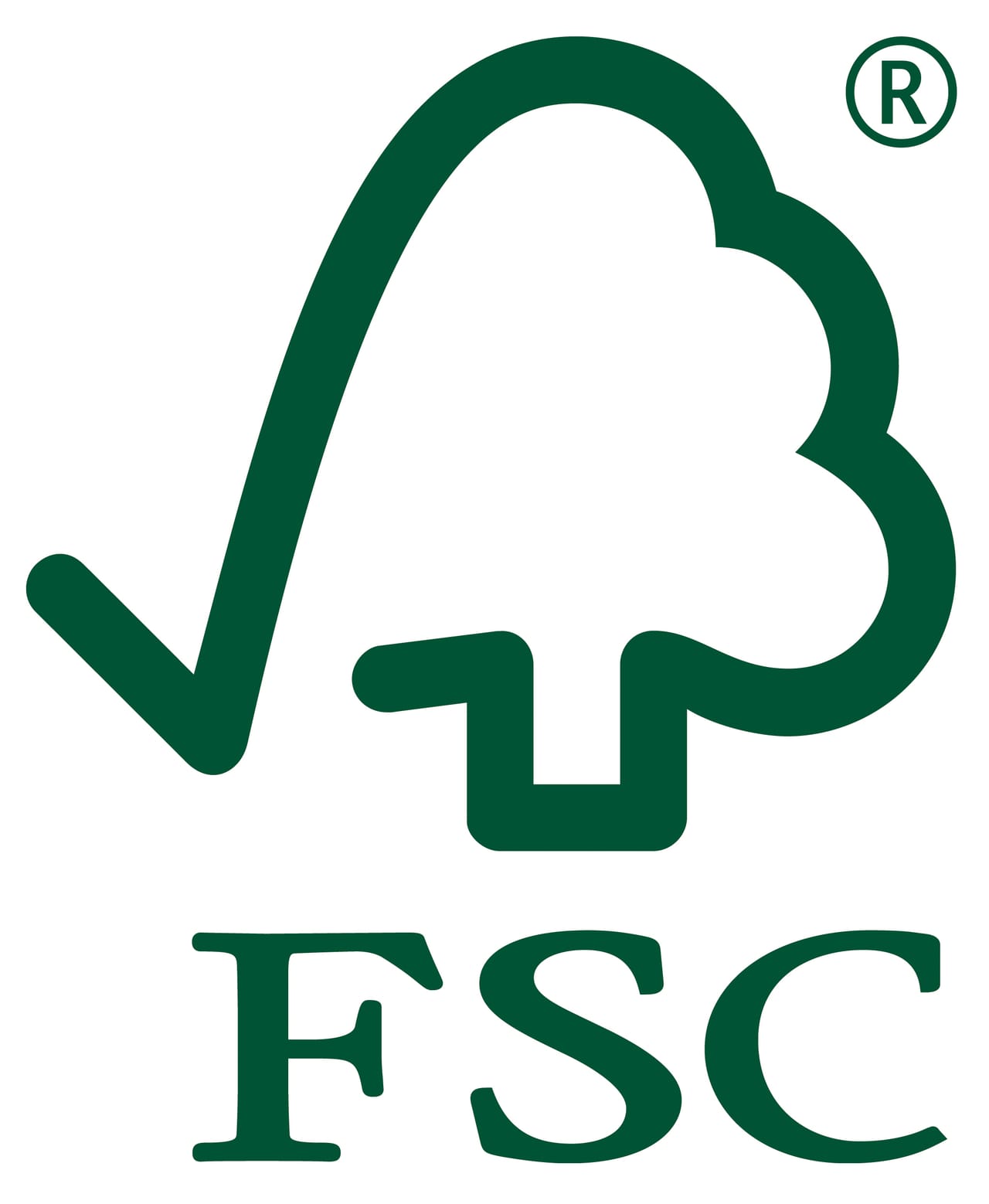 Stop al legno illegale: entra in vigore la Timber Regulation
