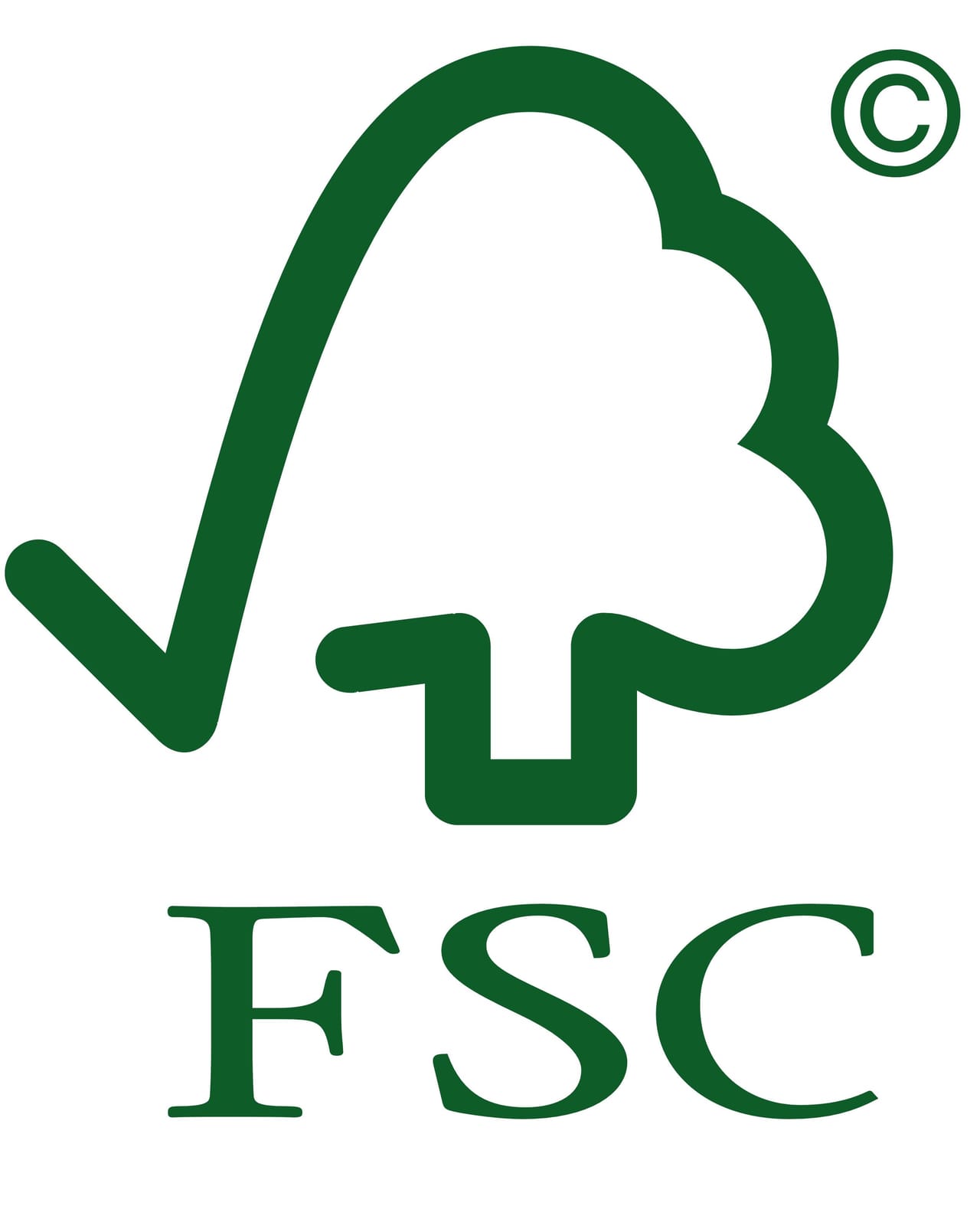 Fsc: Italia al 5° posto nella classifica mondiale