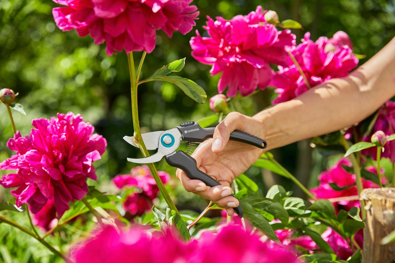 Linea attrezzi da giardino