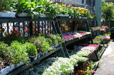 Garden in UK: e-commerce in crescita