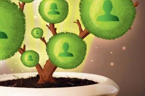 Garden Center Social Club: aggiornamento trimestrale