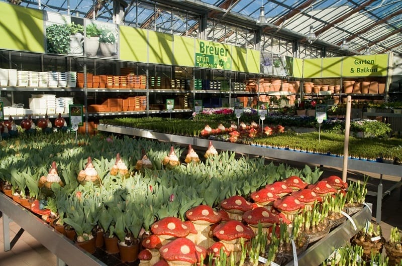 Secondo Gfk, il giardinaggio tedesco è calato dell’8,4% nel 2022