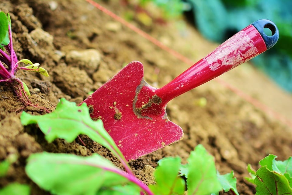 Il mercato del giardinaggio in Italia vale 2,863 mld di euro (+100mln sul 2017)