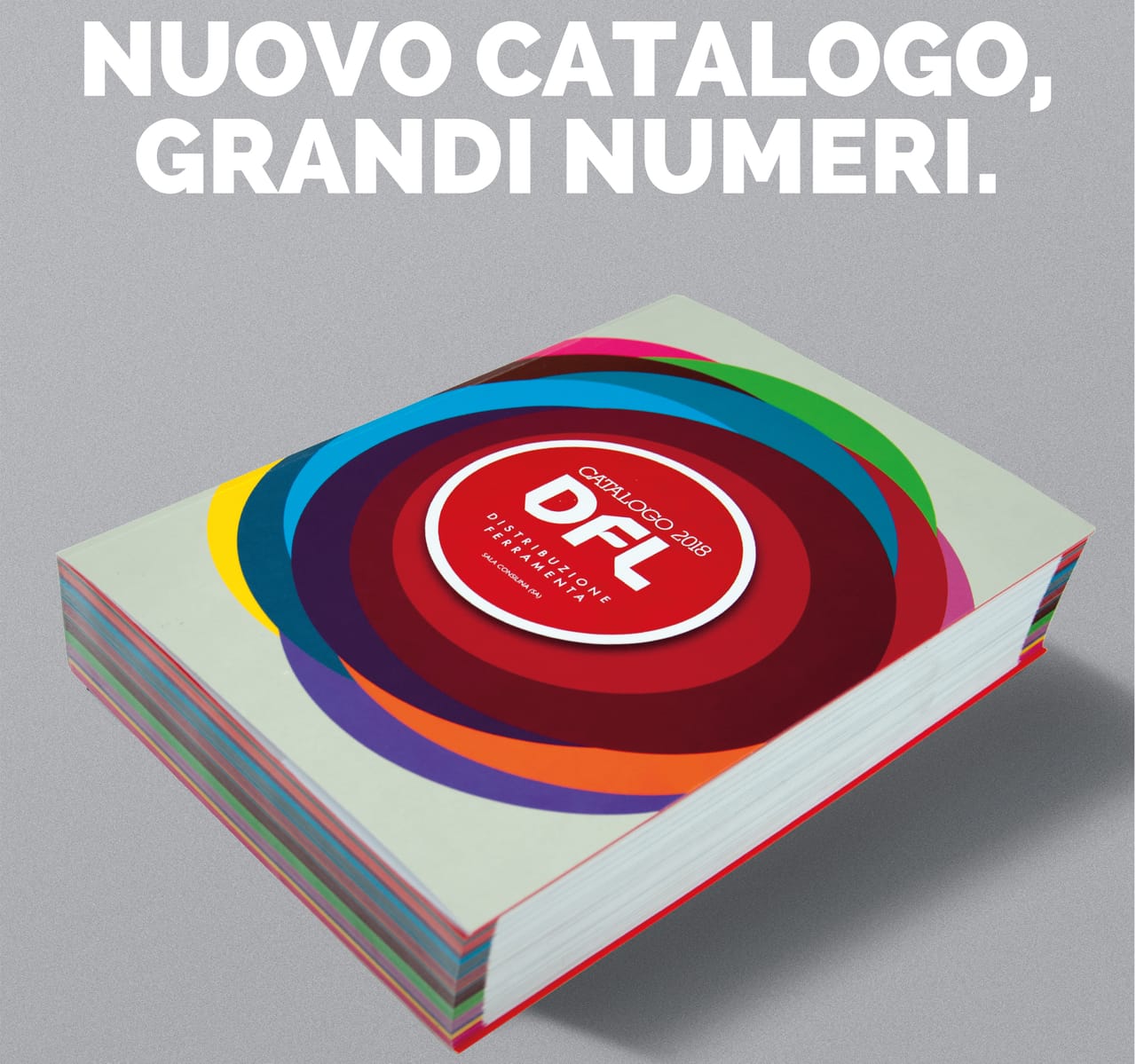 DFL: disponibile il nuovo catalogo!