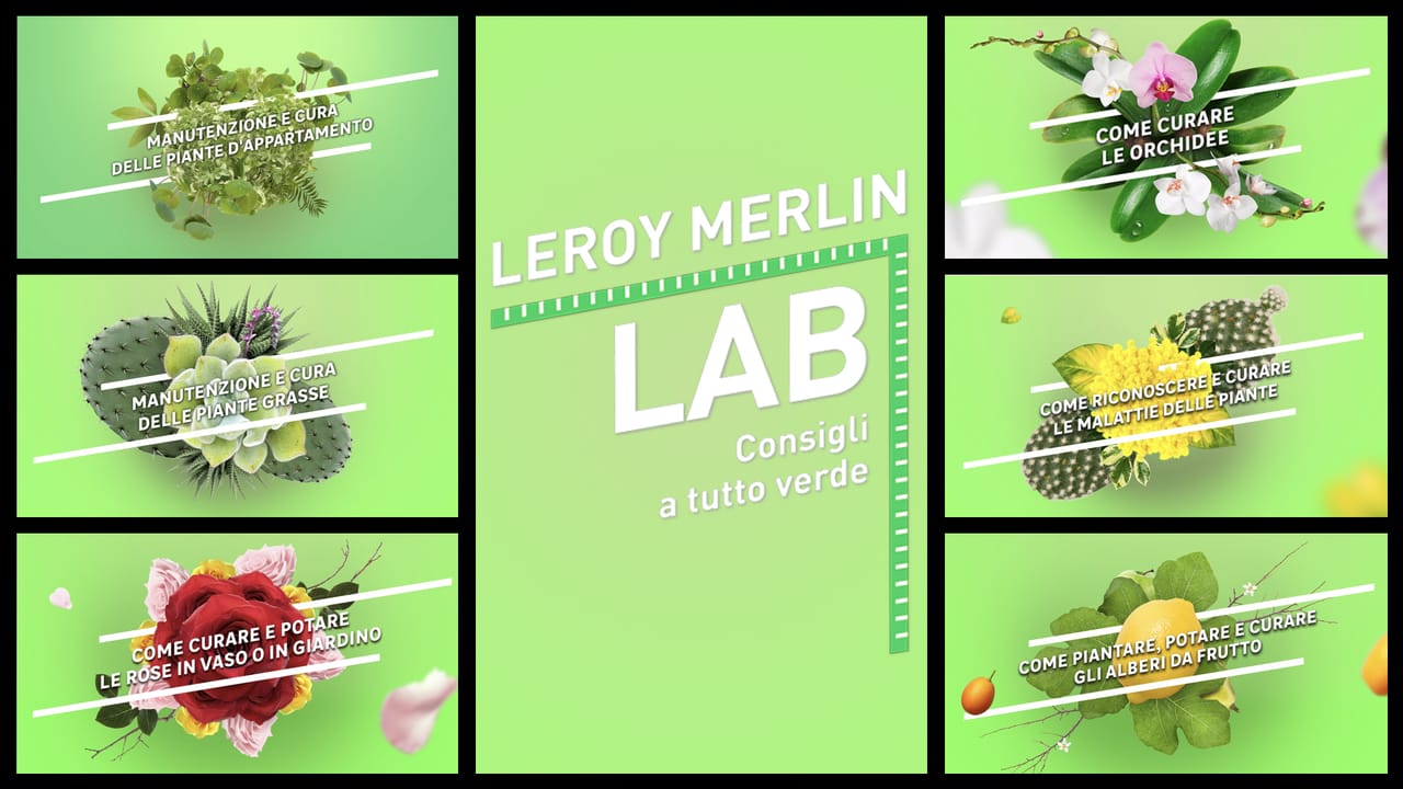 Leroy Merlin debutta in TV