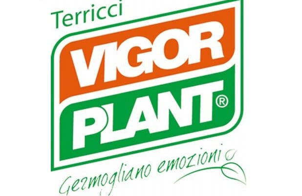 Vigorplant cerca un responsabile assistenza tecnica agronomica sul territorio