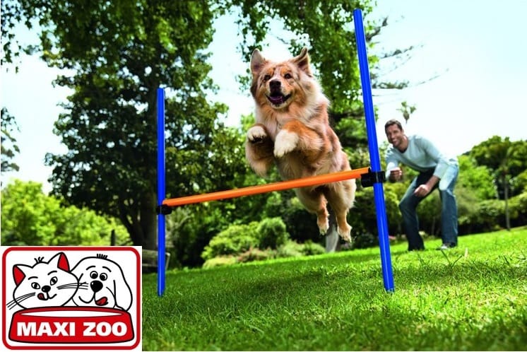 Aperto a Curno il Maxi Zoo più “extra large” d’Italia