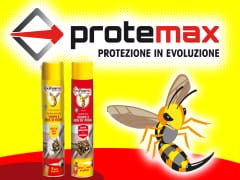 Protemax: la disinfestazione dalle vespe