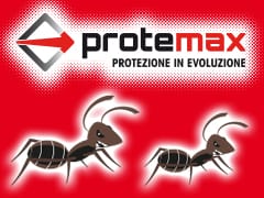 Insetticida Esca Gel Formiche