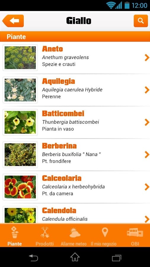 Con Obi il giardinaggio diventa facile