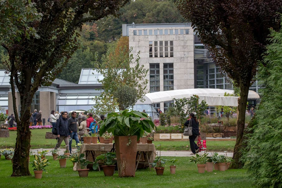 Giardini creativi: iniziato il concorso in vista di Orticolario