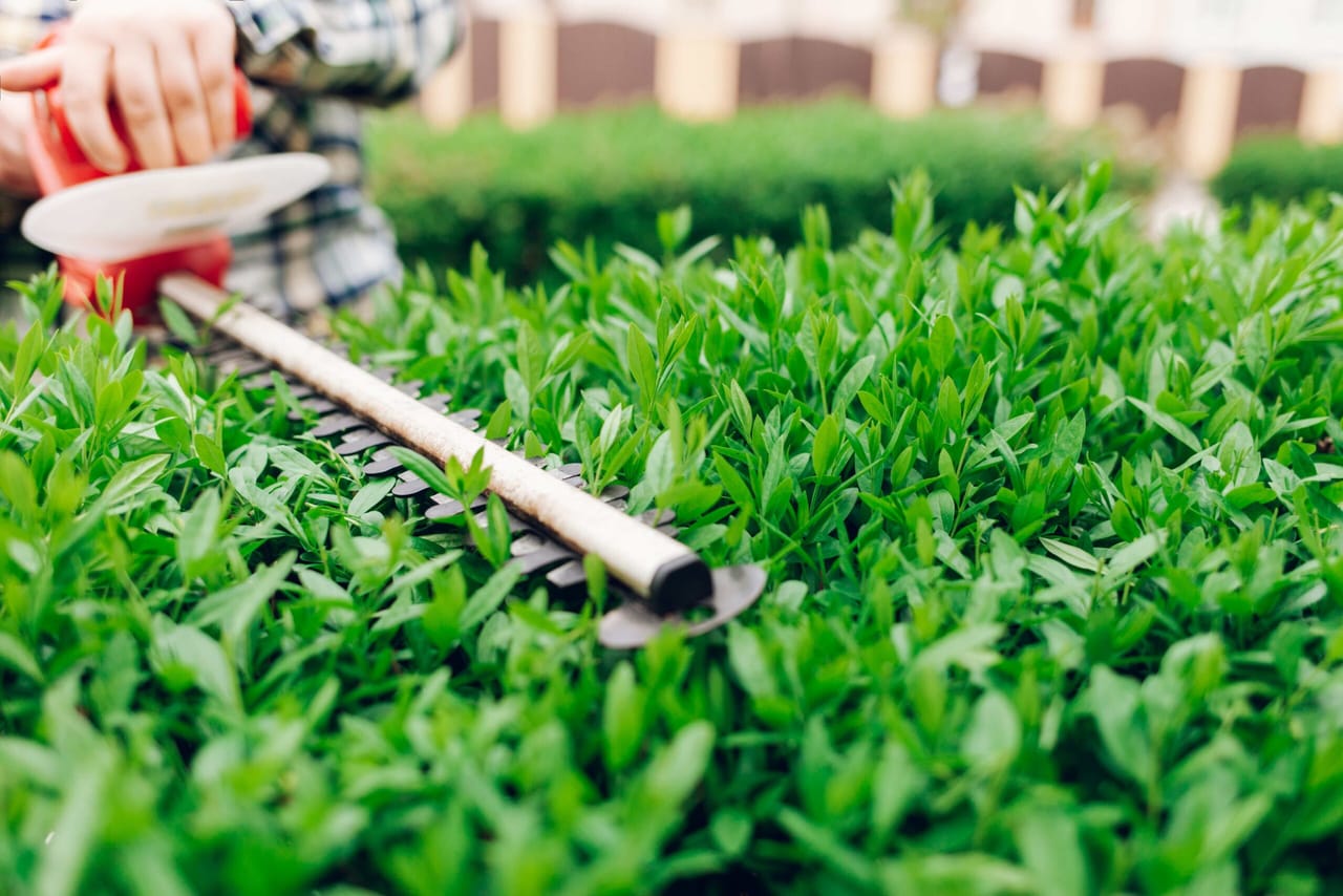 Giardinaggio e bricolage fanno bene all'umore
